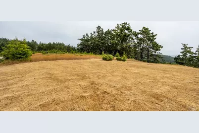 43471 Alta Mesa Road, Manchester, CA 95459 - Photo 9