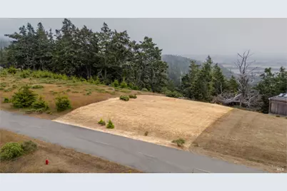 43471 Alta Mesa Road, Manchester, CA 95459 - Photo 7