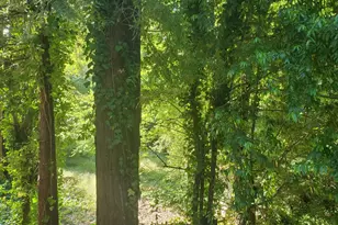 15990 Drake Rd, Guerneville, CA 95446 - Photo 59