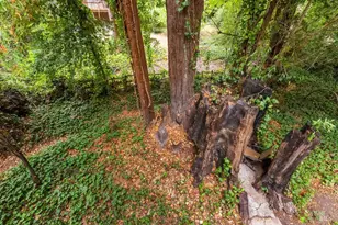 15990 Drake Rd, Guerneville, CA 95446 - Photo 67