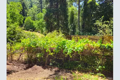 65235 Hwy 271 Highway, Leggett, CA 95585 - Photo 27