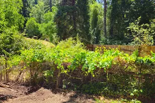 65235 Hwy 271 Hwy, Leggett, CA 95585 - Photo 27