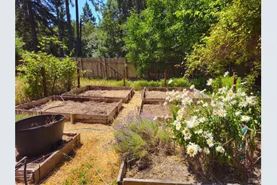 65235 Hwy 271 Highway, Leggett, CA 95585 - Photo 29