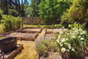 65235 Hwy 271 Hwy, Leggett, CA 95585 - Photo 29