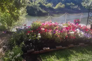 15110 Drake Rd, Guerneville, CA 95446 - Photo 11