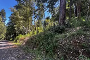 17599 Woods Ave, Guerneville, CA 95446 - Photo 1