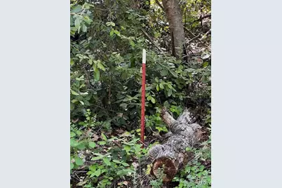 17599 Woods Avenue, Guerneville, CA 95446 - Photo 7