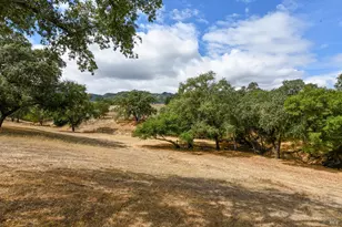 1219 Repetto Ranch Rd, Sonoma, CA 95476 - Photo 41