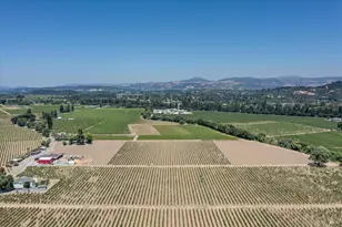 1558 Magnolia Dr, Healdsburg, CA 95448 - Photo 5