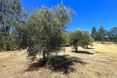 17277 Butts Canyon Road, Middletown, CA 95461 - Photo 31