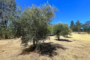 17277 Butts Canyon Rd, Middletown, CA 95461 - Photo 31