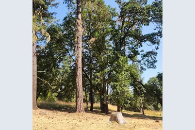 25331 Sherwood Road, Willits, CA 95490 - Photo 7