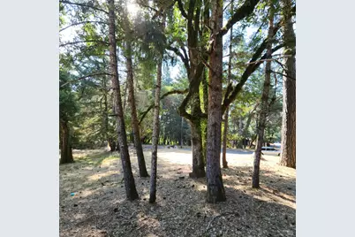 25331 Sherwood Road, Willits, CA 95490 - Photo 1