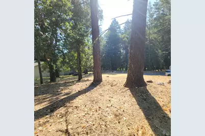 25331 Sherwood Road, Willits, CA 95490 - Photo 11