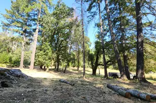25331 Sherwood Rd, Willits, CA 95490 - Photo 1