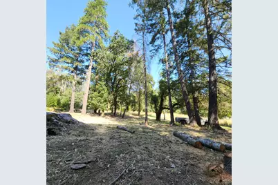 25331 Sherwood Road, Willits, CA 95490 - Photo 3