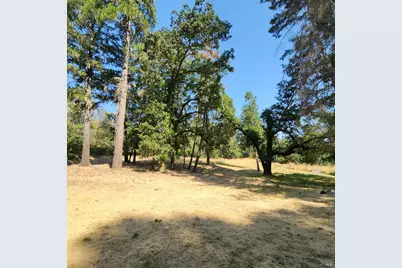 25331 Sherwood Road, Willits, CA 95490 - Photo 5