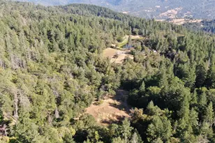 97420 Mina Rd, Covelo, CA 95428 - Photo 9