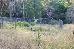 97420 Mina Rd, Covelo, CA 95428 - Photo 29