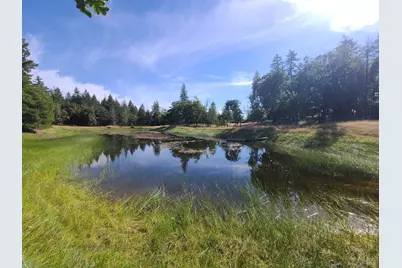 97420 Mina Road, Covelo, CA 95428 - Photo 37