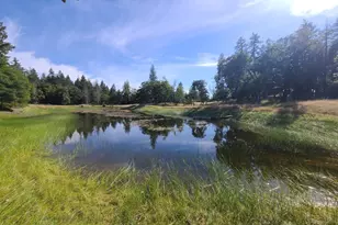 97420 Mina Rd, Covelo, CA 95428 - Photo 37