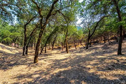 700 Petrified Forest Road, Calistoga, CA 94515 - Photo 49