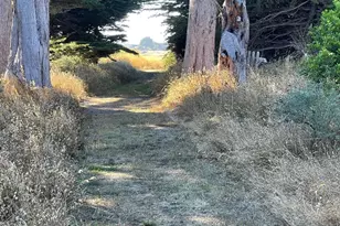 64 Whalers Reach, The Sea Ranch, CA 95497 - Photo 51