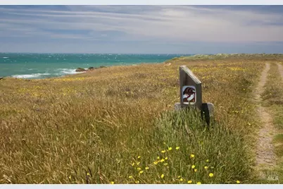 64 Whalers Reach, The Sea Ranch, CA 95497 - Photo 55