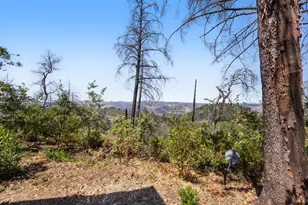 3880 Spring Mountain Rd, Saint Helena, CA 94574 - Photo 43