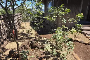3880 Spring Mountain Rd, Saint Helena, CA 94574 - Photo 5