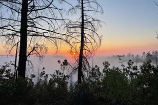 3880 Spring Mountain Rd, Saint Helena, CA 94574 - Photo 1