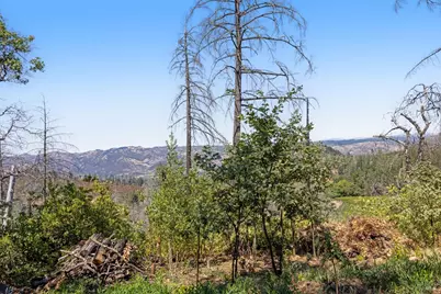 3880 Spring Mountain Road, Saint Helena, CA 94574 - Photo 49