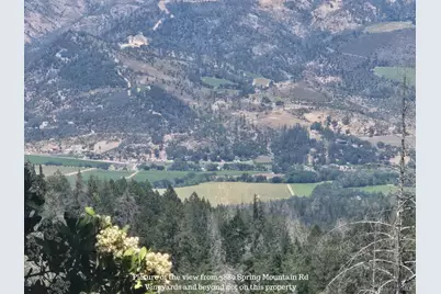 3880 Spring Mountain Road, Saint Helena, CA 94574 - Photo 3