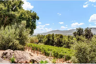 1700 Howell Mountain Road, Saint Helena, CA 94574 - Photo 41