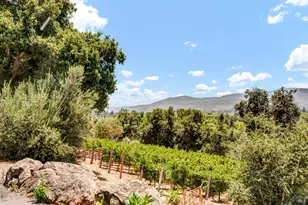 1700 Howell Mountain Rd, Saint Helena, CA 94574 - Photo 41