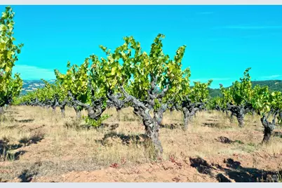 25845 Dutcher Creek Road, Cloverdale, CA 95425 - Photo 69