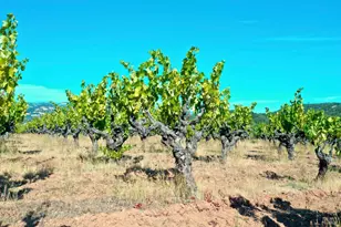 25845 Dutcher Creek Rd, Cloverdale, CA 95425 - Photo 69