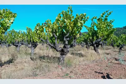 25845 Dutcher Creek Road, Cloverdale, CA 95425 - Photo 71