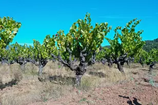 25845 Dutcher Creek Rd, Cloverdale, CA 95425 - Photo 71