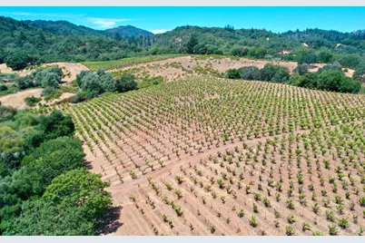 25845 Dutcher Creek Road, Cloverdale, CA 95425 - Photo 41