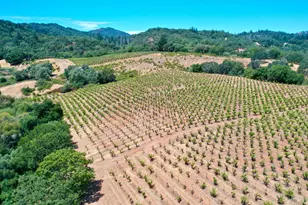 25845 Dutcher Creek Rd, Cloverdale, CA 95425 - Photo 41