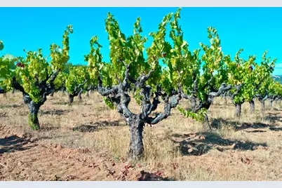 25845 Dutcher Creek Road, Cloverdale, CA 95425 - Photo 27