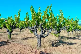 25845 Dutcher Creek Rd, Cloverdale, CA 95425 - Photo 27