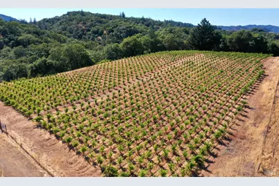 25845 Dutcher Creek Road, Cloverdale, CA 95425 - Photo 57