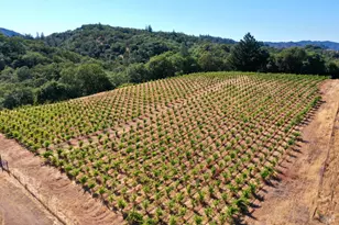 25845 Dutcher Creek Rd, Cloverdale, CA 95425 - Photo 57