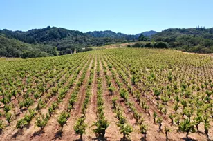 25845 Dutcher Creek Rd, Cloverdale, CA 95425 - Photo 51