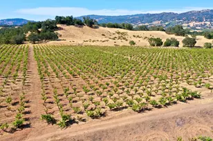 25845 Dutcher Creek Rd, Cloverdale, CA 95425 - Photo 61