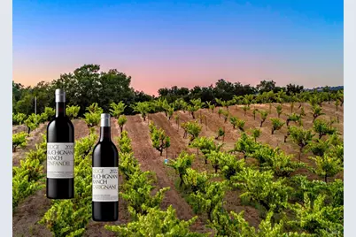 25845 Dutcher Creek Road, Cloverdale, CA 95425 - Photo 5