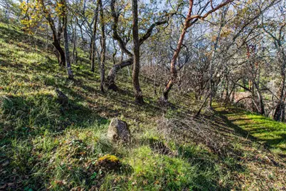 0 Tucker Road, Calistoga, CA 94515 - Photo 3