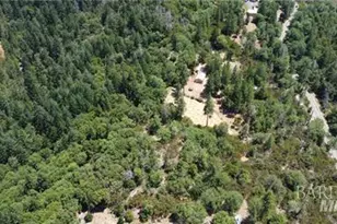 11444 Bottle Rock Rd, Kelseyville, CA 95451 - Photo 41